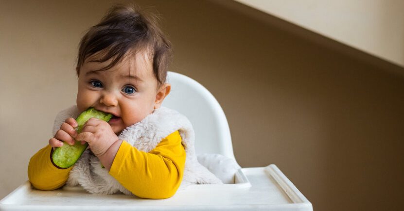 Corso sullo Svezzamento